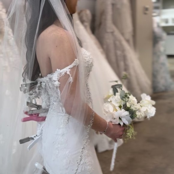 Crystal Wedding Veil: Brand New